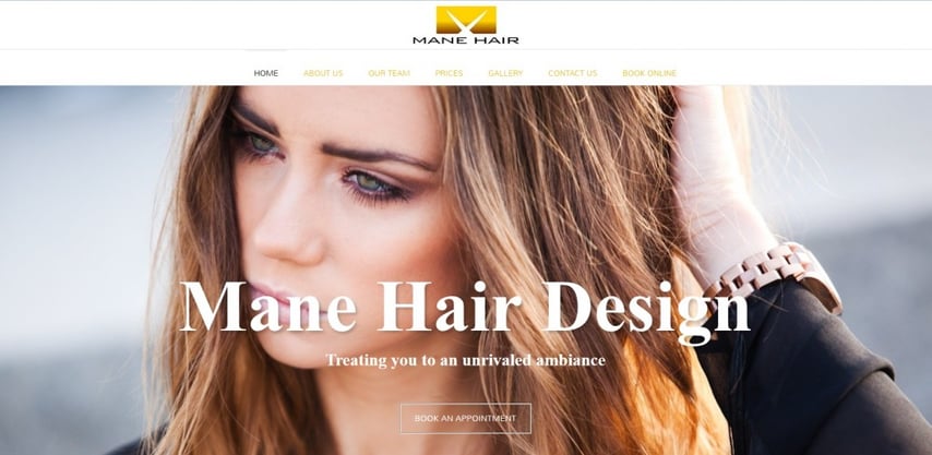 Mane-Website-Screenshot-1024x501.jpg